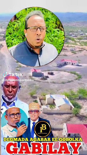 ibLmbhrxRVY7F9uy.jpg