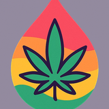 image removebg preview (1).png