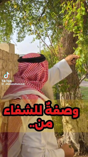 ls0sepoBrK 0T0Qd.jpg