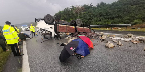 lori01 1751378495.jpg