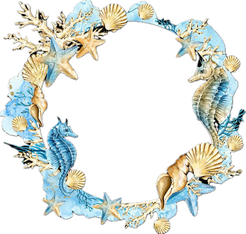 IMG 6592.png