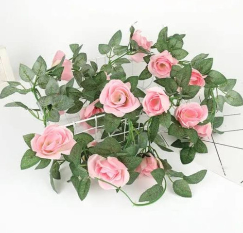 IMG 20250812 083901.jpg