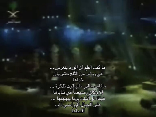 MyashNs MsseWU k.jpg