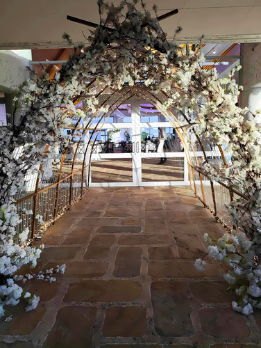 495863426 1270876598380873 2057160697036218488 n.jpg