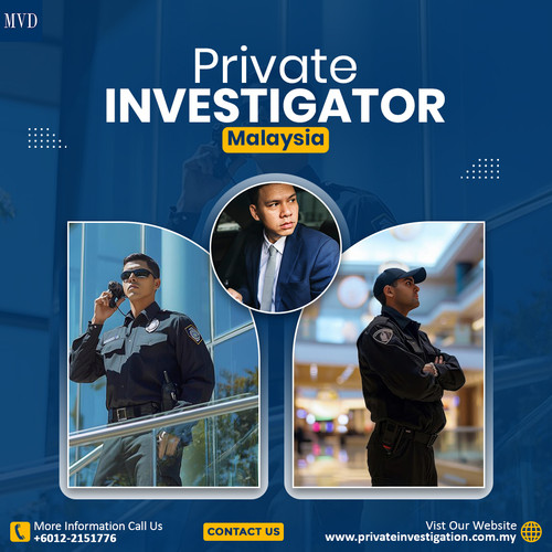 Private Investigator 2.jpg