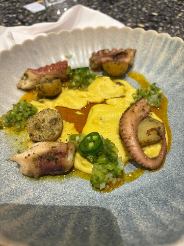 Pulpo de la Bahia Esmeralda.jpg