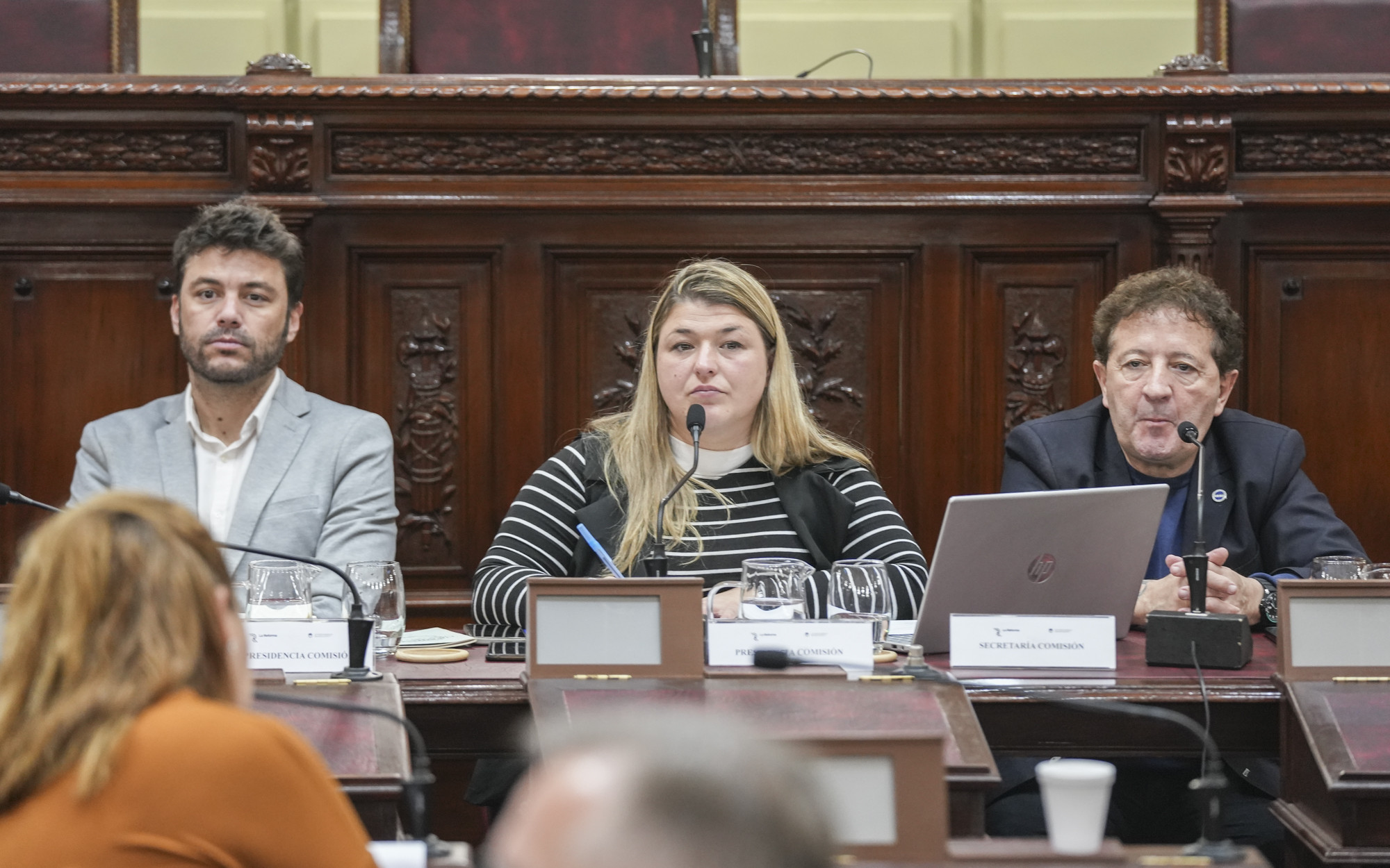 Convencionales se reunieron con representantes de los Entes Metropolitanos de Santa Fe y Rosario