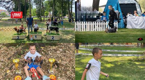 COVER ZA VESTI (90).jpg