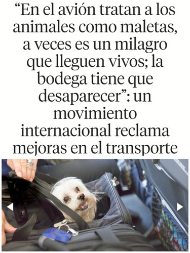 Gx i70hW8AMQFoW?format=jpg.jpg