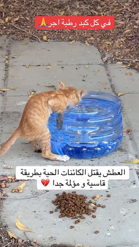 V6nGCZGg moLcwsJ.jpg