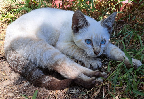 530876649 10139030256784424 6301359943317408964 n.jpg