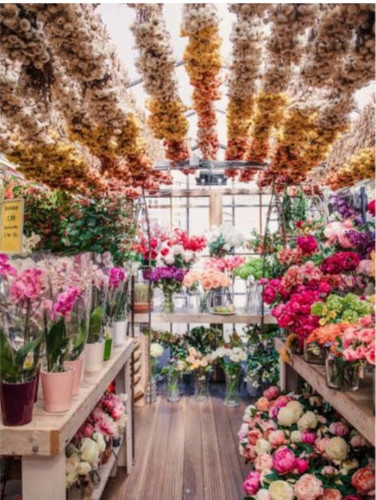 IMG 20250813 093333.jpg