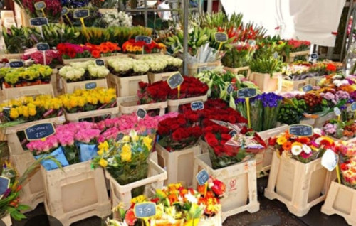 IMG 20250813 094713.jpg