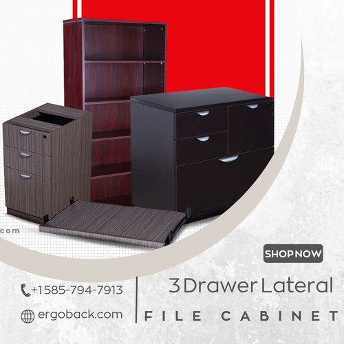 Maximize Office Efficiency with ERGOBACK 3 Drawer Lateral File Cabinet.jpg