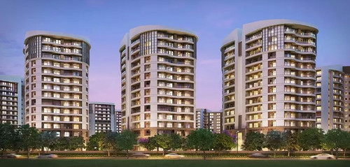 WhatsApp Image 2025 08 12 at 4.18.35 PM.jpg