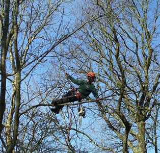 5946a2 c3c4fabce3a94bf4b02398f070f4c8e7mv2.jpg