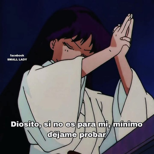 FB IMG 1747896025765.jpg