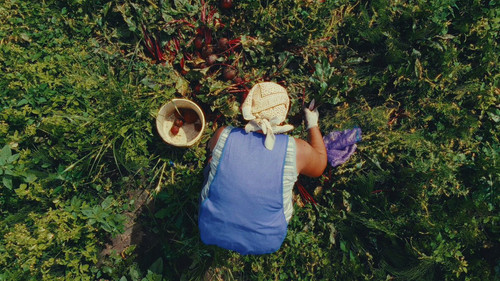 G0L d8OnCJflmBDT.jpg