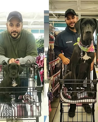 495540695 122156089790563820 5017465307239810631 n.jpg?stp=dst jpg s640x640 tt6& nc cat=107&ccb=1 7&.jpg