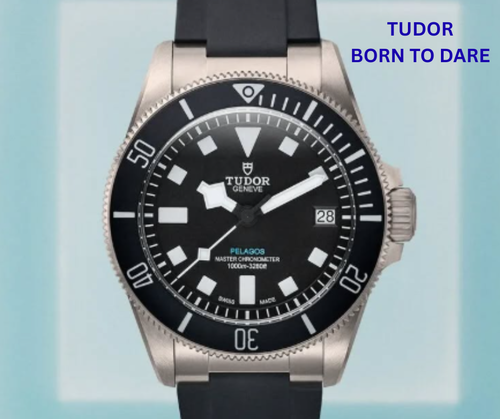 TUDOR BORN TO DARE (1).png