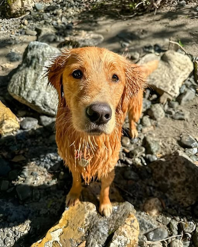 495121359 122154856580563820 3630813405892728819 n.jpg?stp=dst jpg s640x640 tt6& nc cat=107&ccb=1 7&.jpg