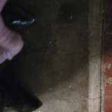 20250812 202200(2).gif