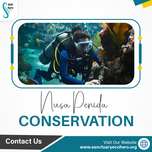 Nusa Penida Conservation.jpg