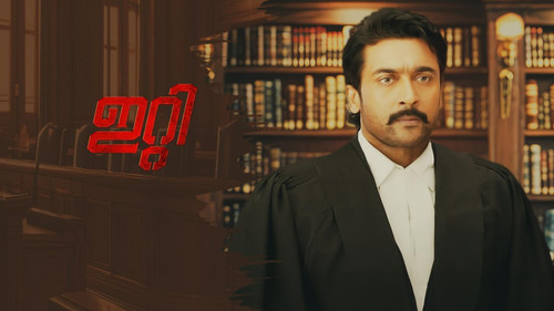 photo 2025 08 12 04 44 43 7537558344806957080.jpg