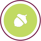 Copy of Copy of Ready for design 04.png