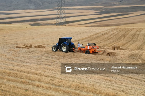 530795826 1071097148517587 4136620429777438282 n.jpg?stp=dst jpg p180x540 tt6& nc cat=102&ccb=1 7& n.jpg