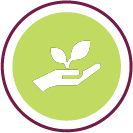 Copy of Copy of Ready for design 02.png