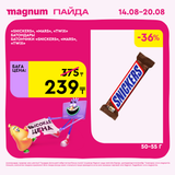 Magnum 1620x1620 1 tov 2025 08 13T112056.443