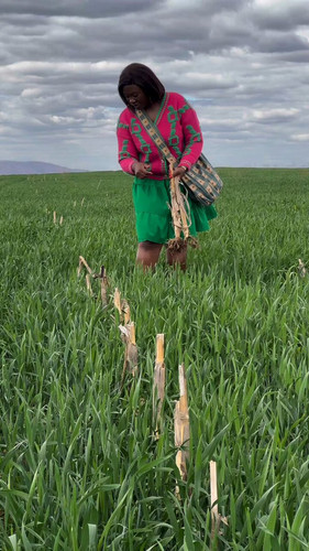 JD5KlpCppS QzirA.jpg