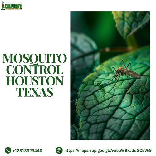 Mosquito Control in Houston, Texas.png