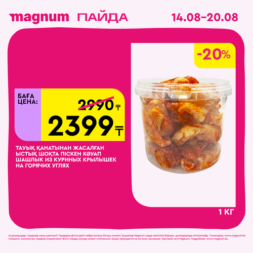 Magnum 1620x1620 1 tov 2025 08 13T112114.049.png