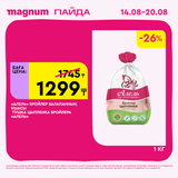 Magnum 1620x1620 1 tov 2025 08 13T112151.178