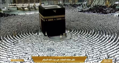 LyLe SYIQx04adBV.jpg