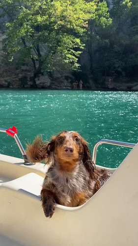 KKv7ifa WAIaO95h.jpg