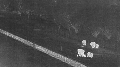 ovweC at i04vGLv.jpg