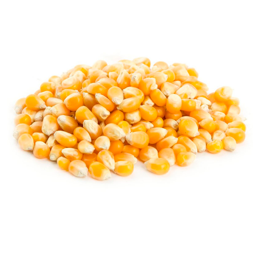 MAIZ PISINGALLO KG.png