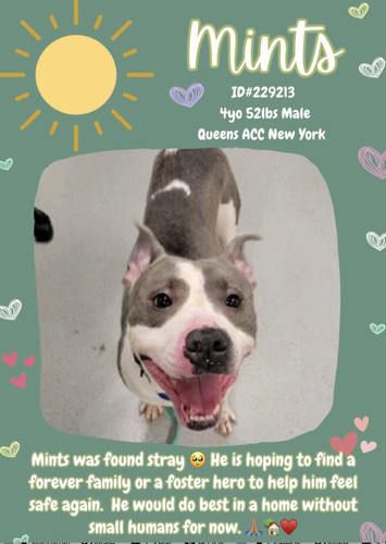 GtZrXMdWwAA9n0 ?format=jpg.jpg