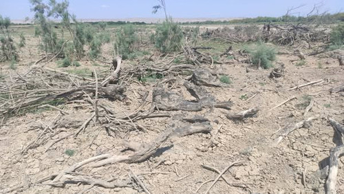 530793901 795495616162788 3499200587907306069 n.jpg?stp=dst jpg s600x600 tt6& nc cat=111&ccb=1 7& nc.jpg