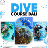 Dive Course Bali (1) (1) (1).jpg
