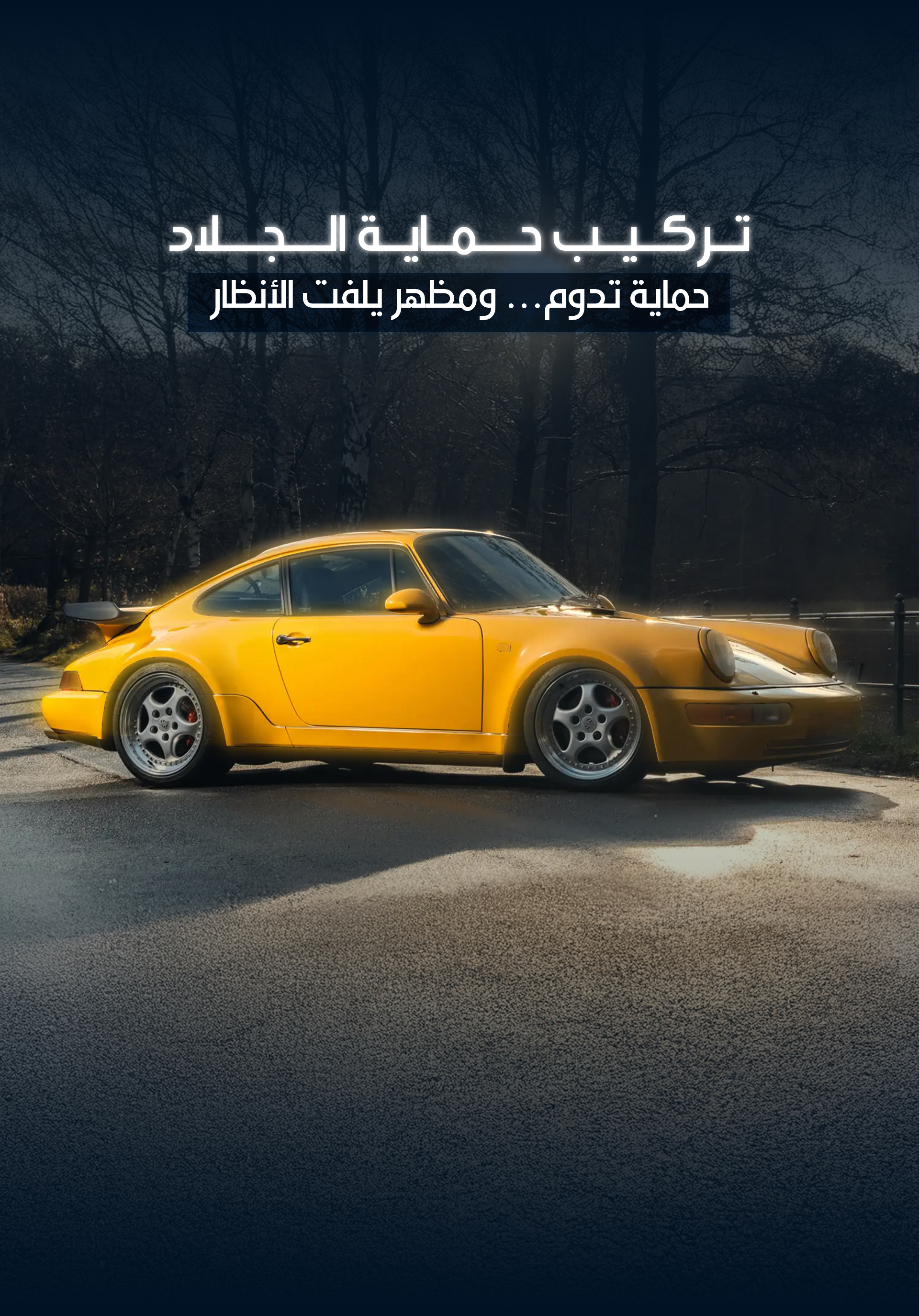 حماية الطلاء