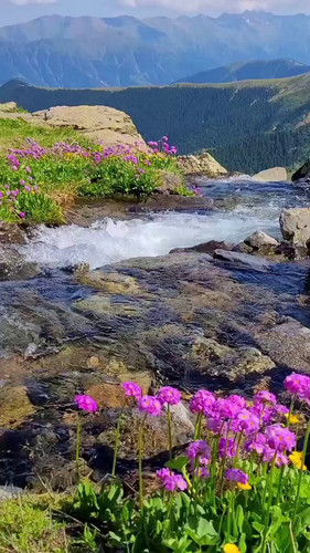 T MhoEqrJKCS4Ilx.jpg