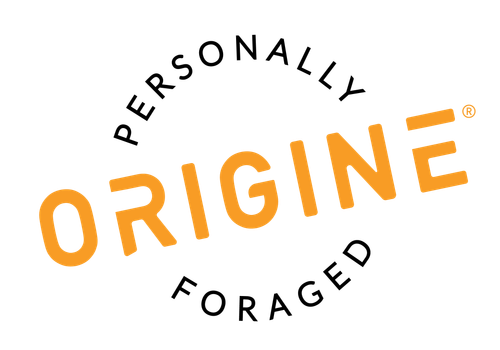 OrigineLogo 440x300 RGB full color.png