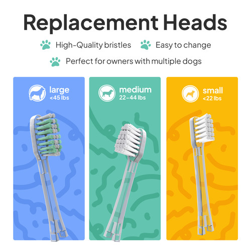 6 Replacement Heads.jpg