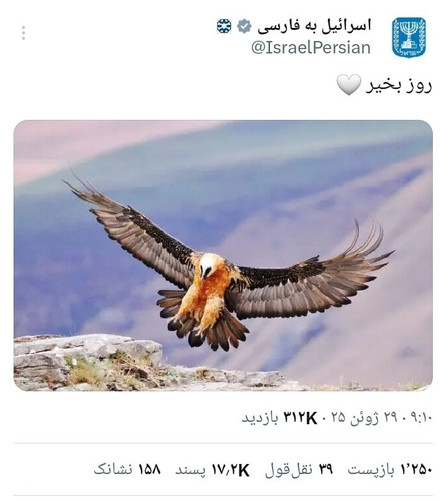 Guzf1sVWsAEjz4P.jpg