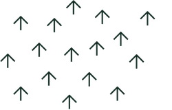 e44e02e62447.png