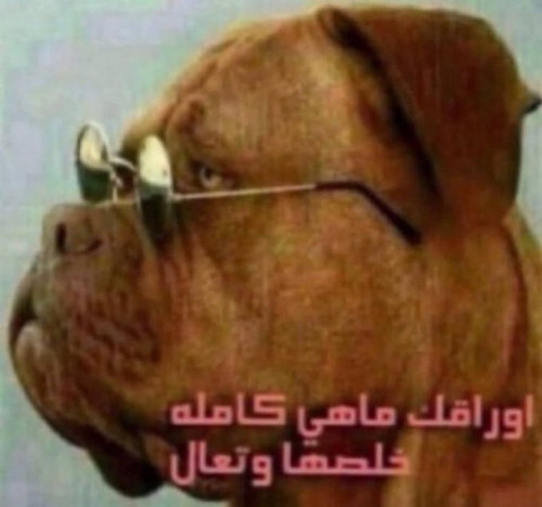 Gu3t8x9WYAAtVCk.jpg